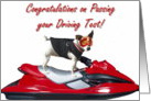 Congratulations on passing Driving Test Jack Russel Terrier card