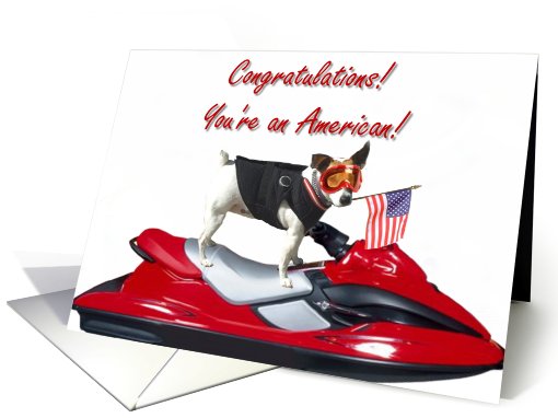 Congratulations you're an American Jack Russell Terrier card (404777)
