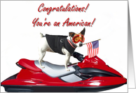 Congratulations you’re an American Jack Russell Terrier card