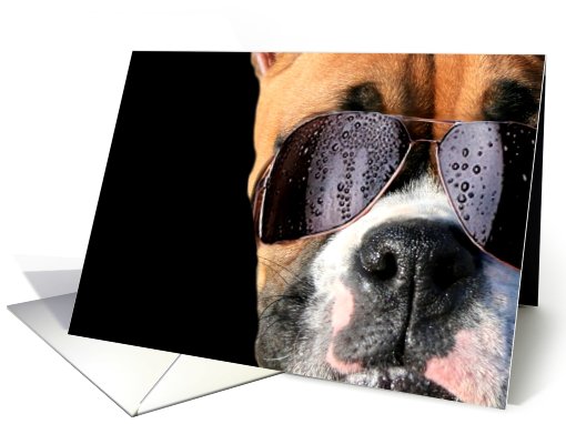 Happy Birthday boxer dog in sunglasses card (420958)
