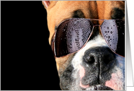 Happy Birthday boxer dog in sunglasses card