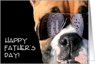 Happy Father’s Day boxer dog in sunglasses card