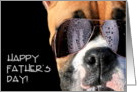 Happy Father’s Day boxer dog in sunglasses card