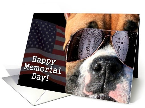 Happy Memorial day Boxer Dog card (425652)