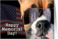 Happy Memorial day Boxer Dog card