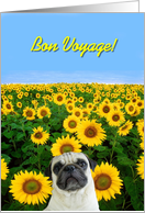Bon Voyage pug card