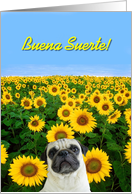 Buena Suerte pug card