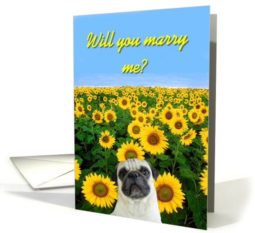 Will You Marry me pug card (444843)