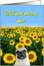 Will You Marry me pug card