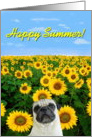 Happy Summer pug card