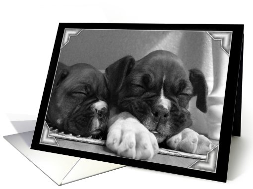 Boxers sleeping card (445045)