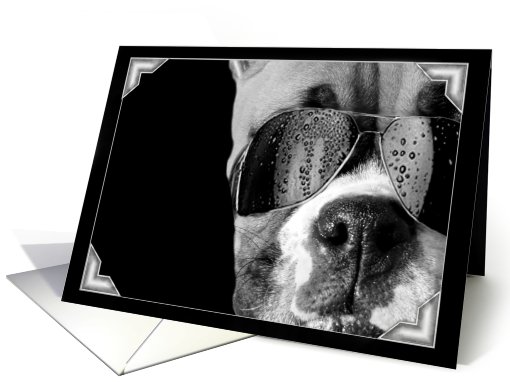 Cool Boxer pup card (445049)