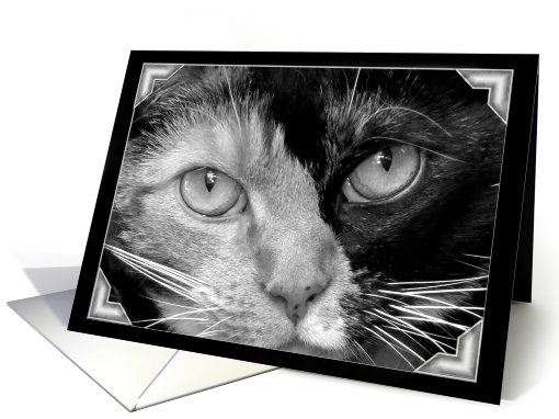 Calico Cat card (445050)
