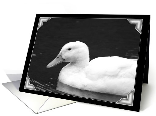 White duck card (445051)