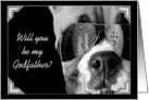 Will you be my godfather boxer card