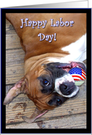 Happy Labor Day boxer card