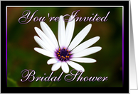 Bridal Shower Invitation White Daisy card