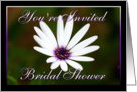 Bridal Shower Invitation White Daisy card