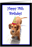 Happy 14th Birthday Dachshund card