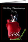 50th wedding anniversary invitation Boston Terrier card