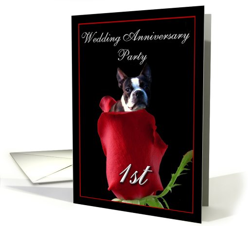 1st wedding anniversary invitation Boston Terrier card (451218)