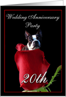 20th wedding anniversary invitation Boston Terrier card