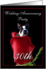 30th wedding anniversary invitation Boston Terrier card