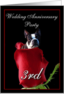 3rd wedding anniversary invitation Boston Terrier card