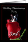 3rd wedding anniversary invitation Boston Terrier card