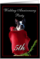 5th wedding anniversary invitation Boston Terrier card
