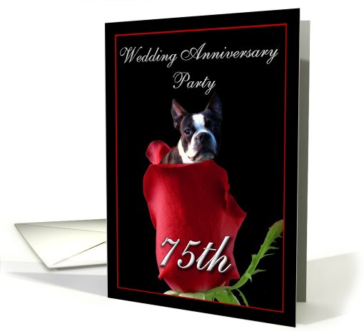 75th wedding anniversary invitation Boston Terrier card (451240)