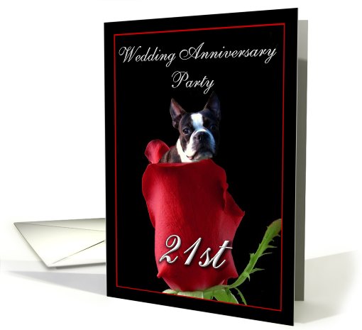 21st wedding anniversary invitation Boston Terrier card (451242)