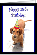 Happy 29th Birthday Dachshund card