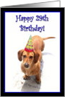 Happy 29th Birthday Dachshund card