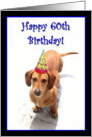 Happy 60th Birthday Dachshund card