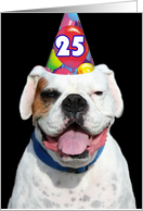 Happy 25th Birthday White Boxer Dog card