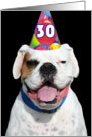 Happy 30th Birthday White Boxer Dog card