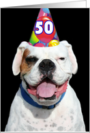 Happy 50th Birthday White Boxer Dog card