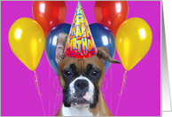 Birthday Party Invitation Boxer Dog card