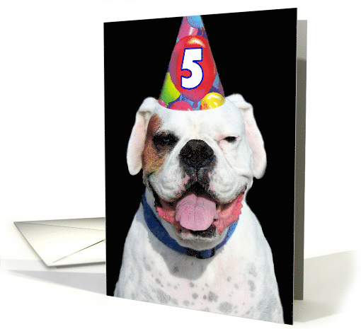 5th Birthday Party Invitation white boxer dog card (480831)