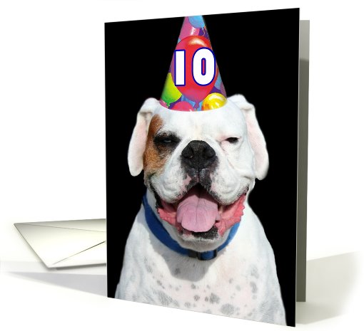 10th Birthday Party Invitation white boxer dog card (480832)