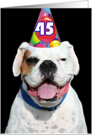 45th Birthday Party Invitation white boxer dog card