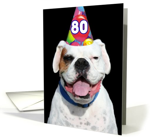 80th Birthday Party Invitation white boxer dog card (482428)