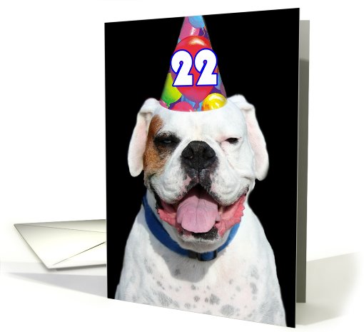 Happy 22nd Birthday Boxer Dog card (488009)