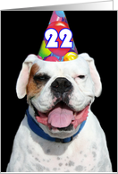 Happy 22nd Birthday Boxer Dog card