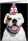 Happy 22nd Birthday Boxer Dog card
