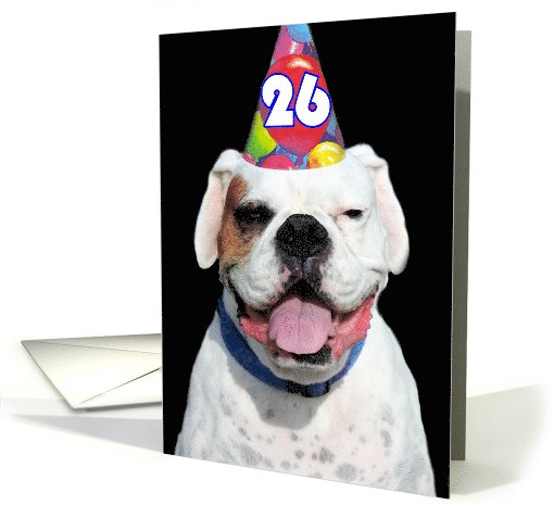 Happy 26th Birthday Boxer Dog card (488013)