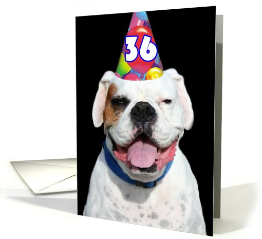Happy 36th Birthday Boxer Dog card (488024)