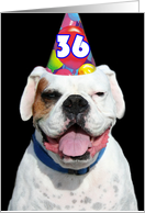 Happy 36th Birthday Boxer Dog card