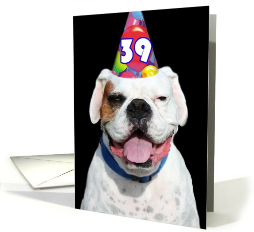 Happy 39th Birthday Boxer Dog card (488027)